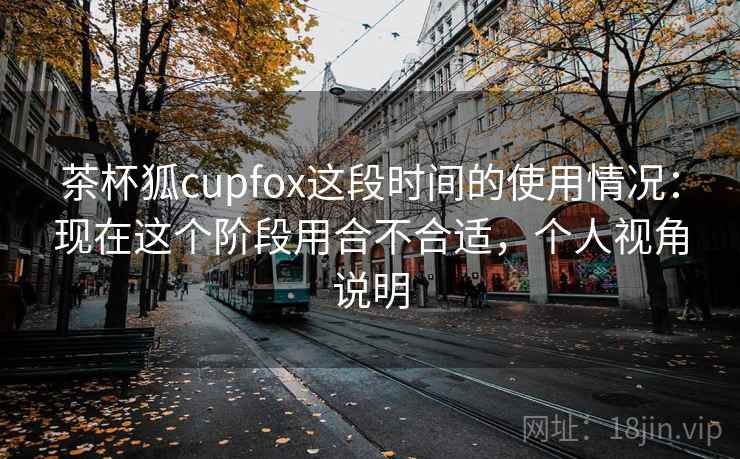 茶杯狐cupfox这段时间的使用情况：现在这个阶段用合不合适，个人视角说明